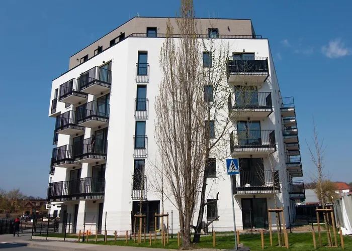 El - Hercules 포즈난